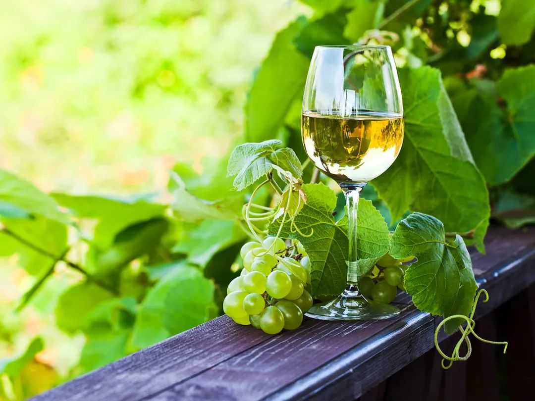 Vinhos - Verdes: Portugal's Largest Wine - Producing Region